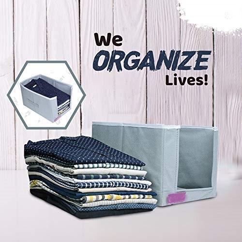 Cloth Organizer - Non Woven Foldable Cloth Organizer (Pack of 2)